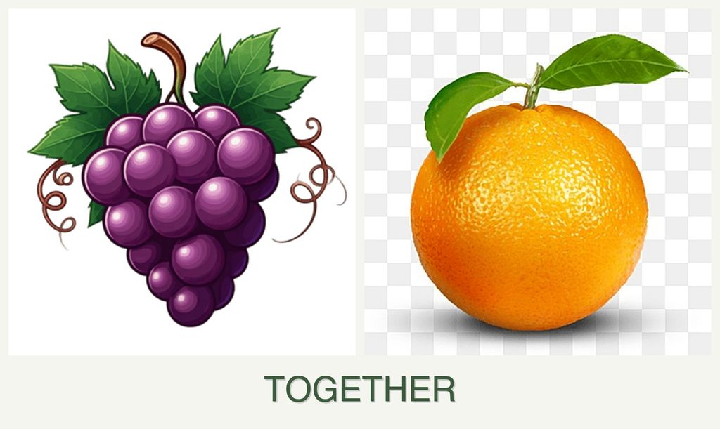 Can you plant grapes and oranges together?