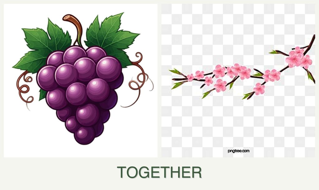 Can you plant grapes and peaches together?