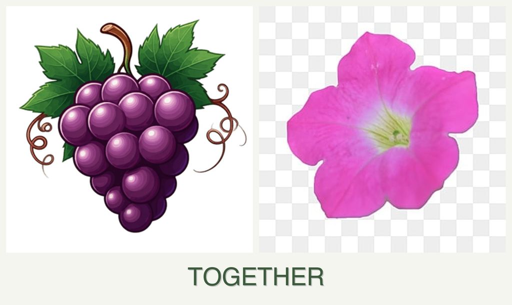 Can you plant grapes and petunias together?