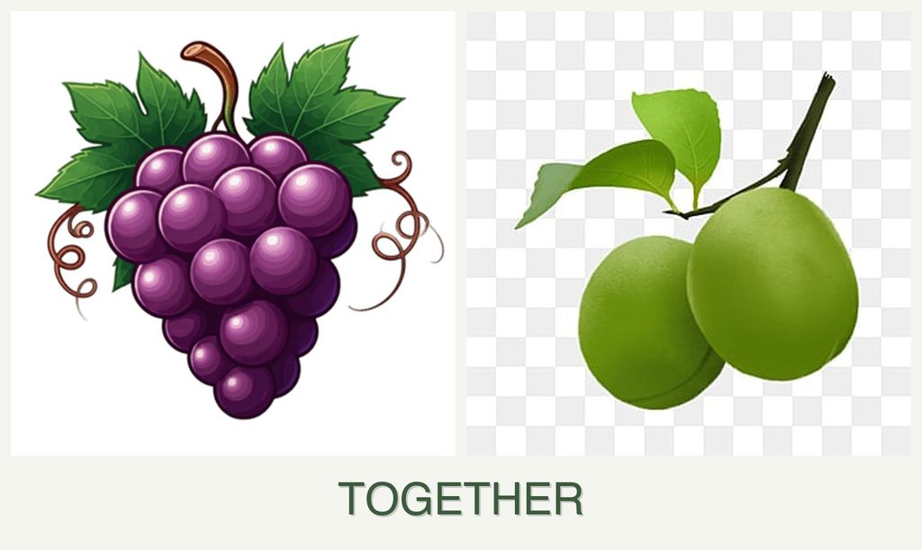 Can you plant grapes and plums together?