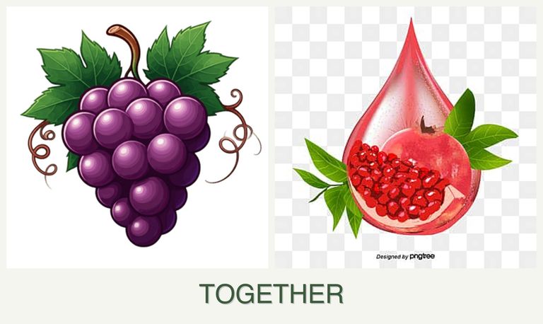 Can you plant grapes and pomegranates together?