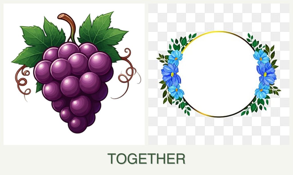 Can you plant grapes and zinnias together?