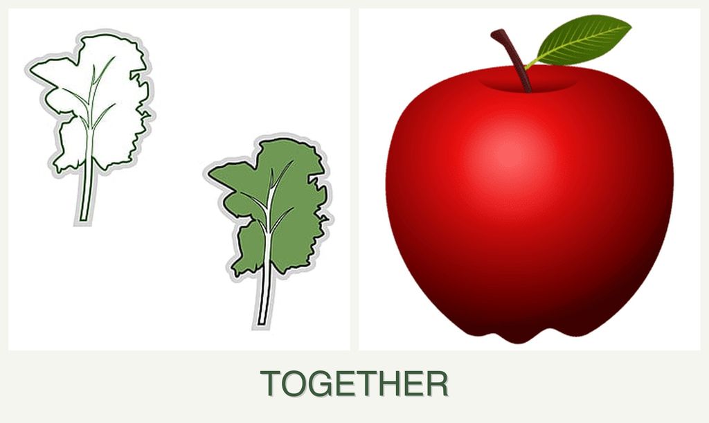Can you plant kale and apples together?