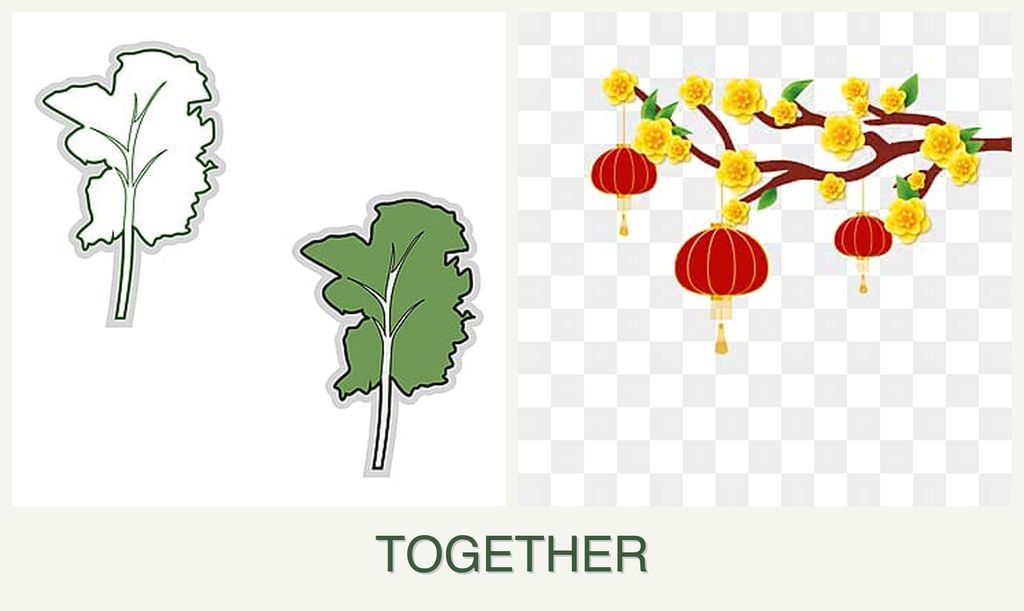 Can you plant kale and apricots together?