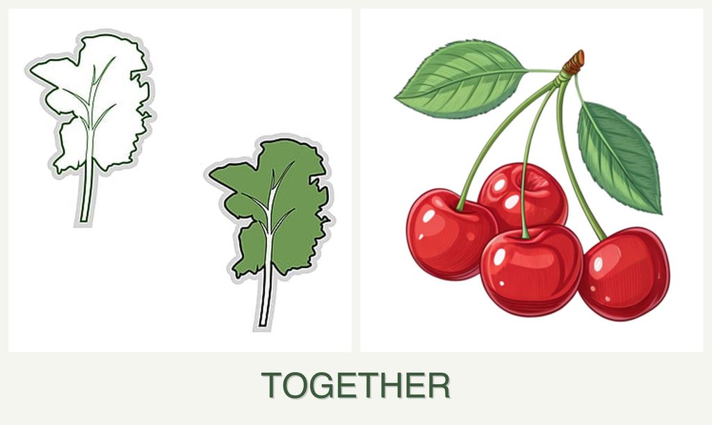 Can you plant kale and cherries together?