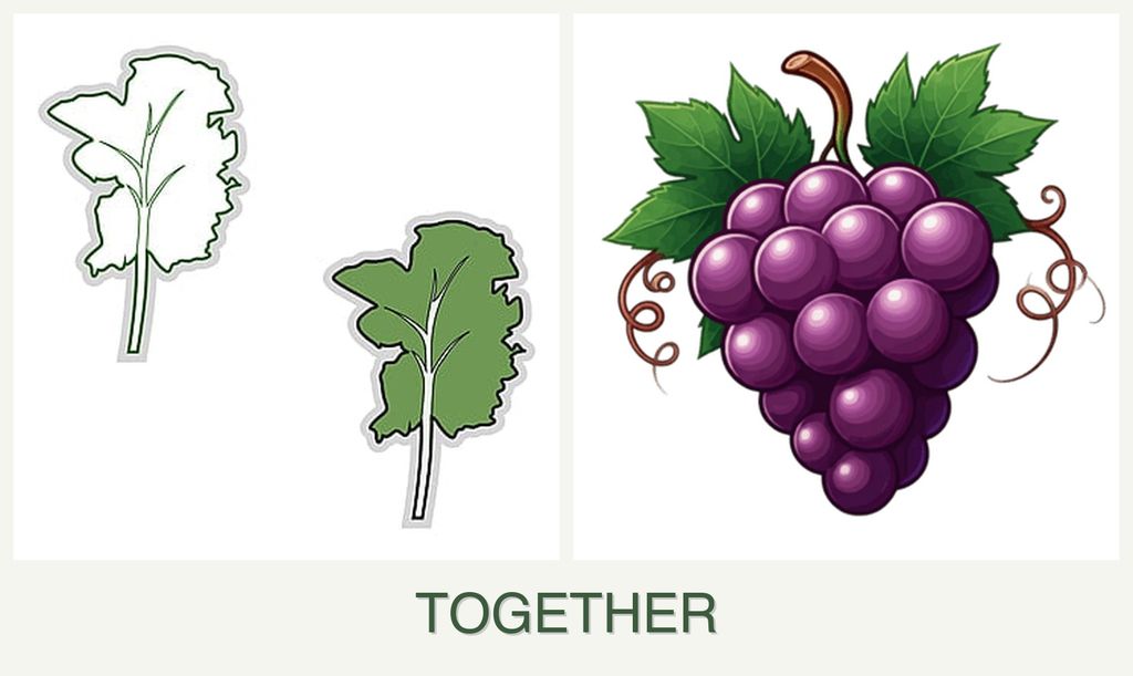 Can you plant kale and grapes together?