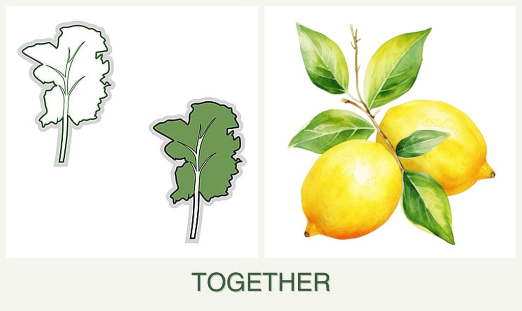 Can you plant kale and lemons together?