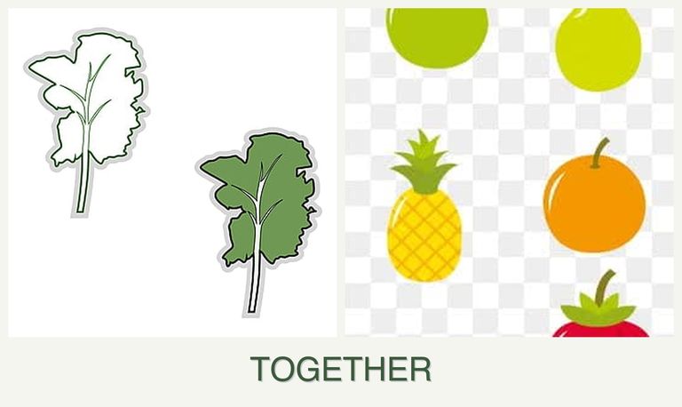 Can you plant kale and pears together?