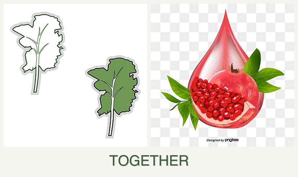 Can you plant kale and pomegranates together?