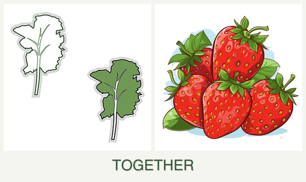 Can you plant kale and strawberries together?