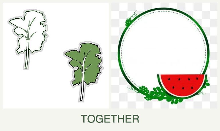 Can you plant kale and watermelons together?