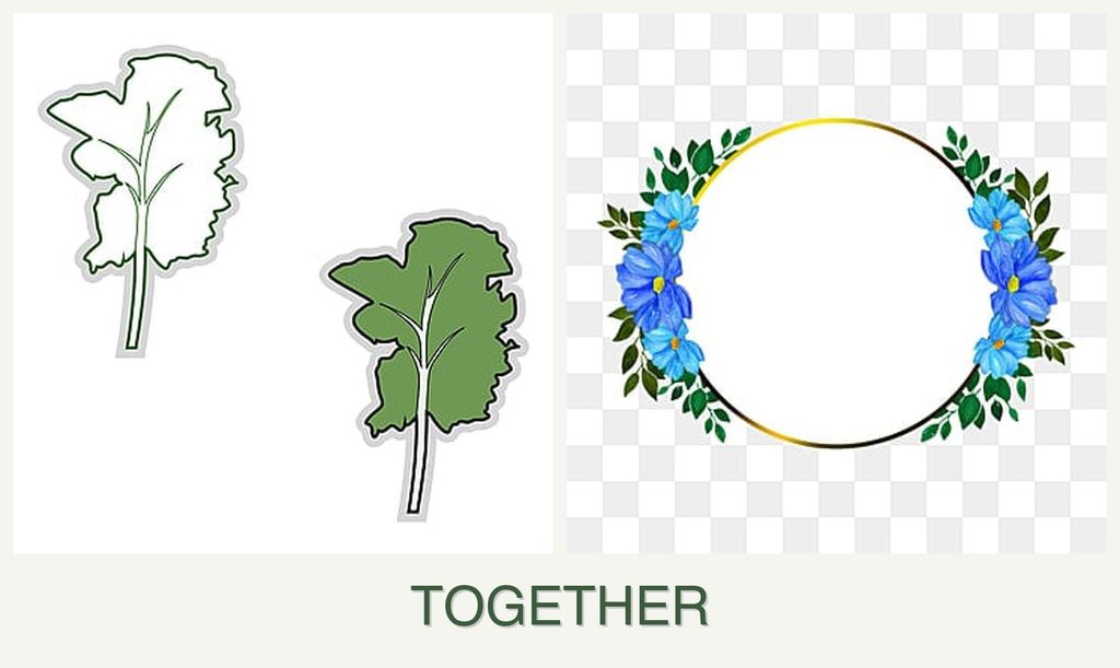 Can you plant kale and zinnias together?