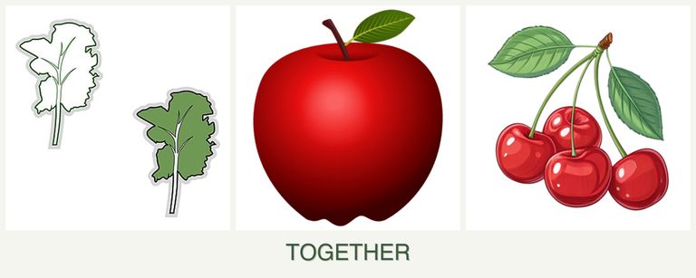 Can you plant kale, apples and cherries together?