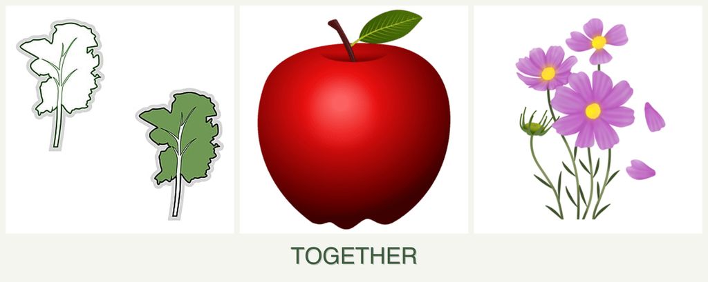 Can you plant kale, apples and cosmos together?