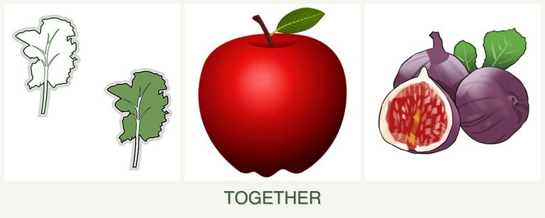 Can you plant kale, apples and figs together?