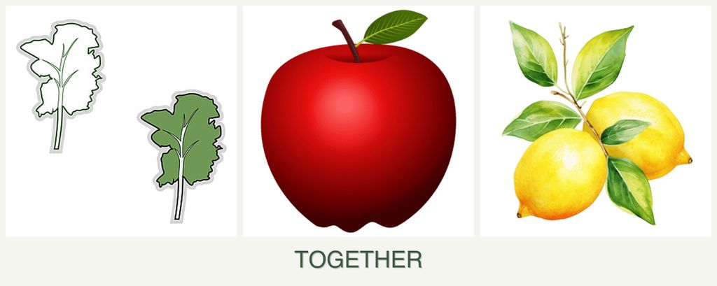 Can you plant kale, apples and lemons together?