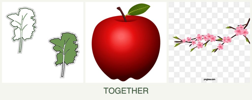 Can you plant kale, apples and peaches together?