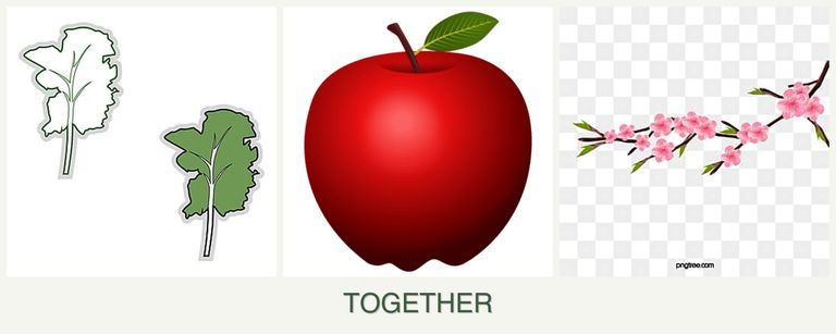 Can you plant kale, apples and peaches together?