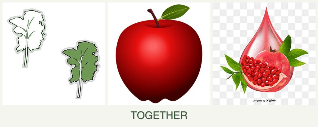 Can you plant kale, apples and pomegranates together?