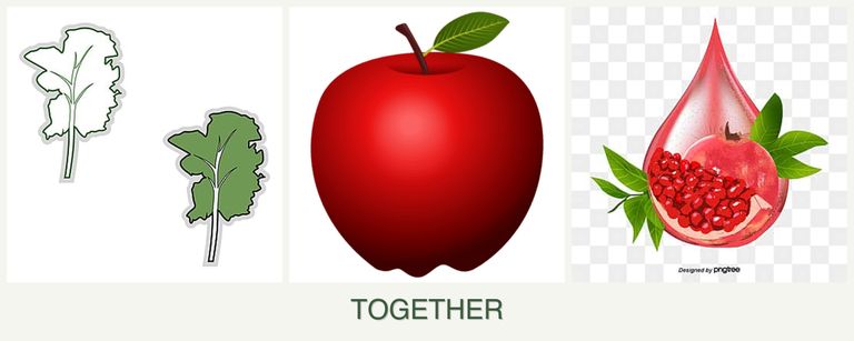 Can you plant kale, apples and pomegranates together?