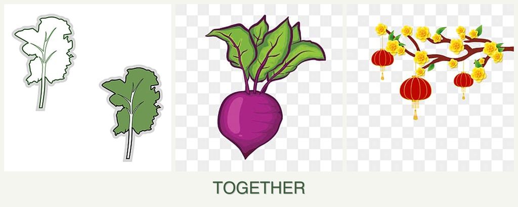 Can you plant kale, beets and apricots together?