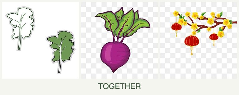 Can you plant kale, beets and apricots together?