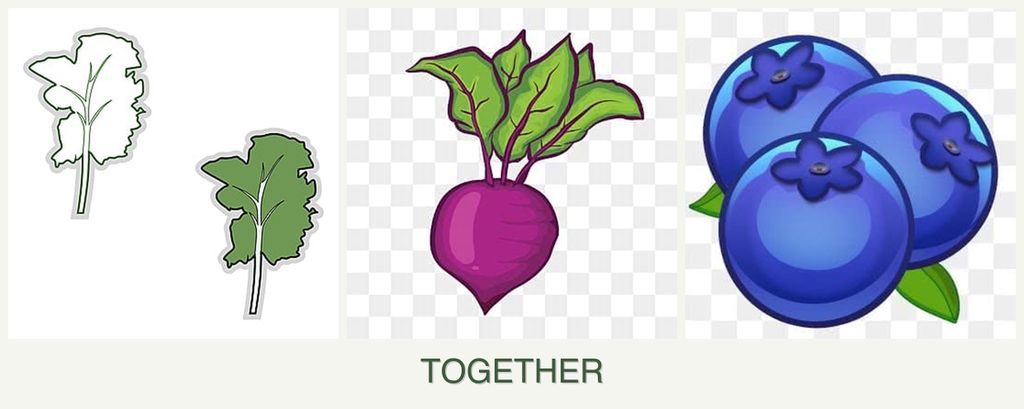 Can you plant kale, beets and blueberries together?