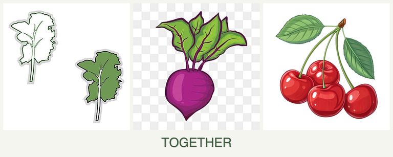 Can you plant kale, beets and cherries together?