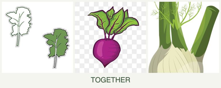 Can you plant kale, beets and fennel together?