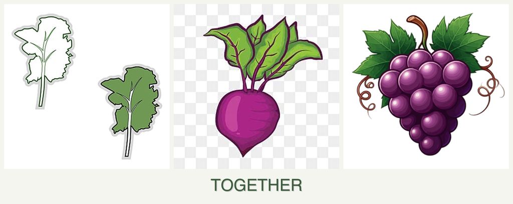 Can you plant kale, beets and grapes together?