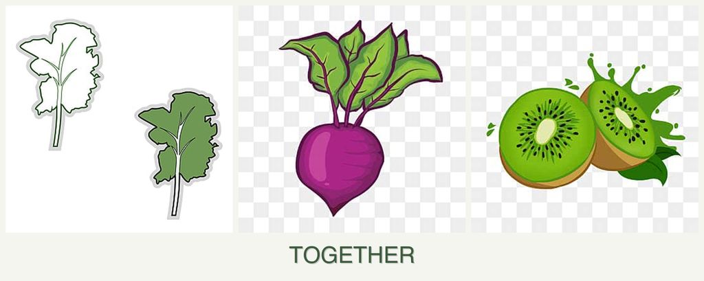 Can you plant kale, beets and kiwi together?