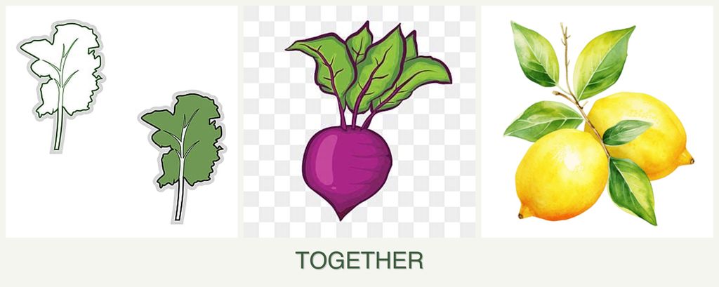 Can you plant kale, beets and lemons together?