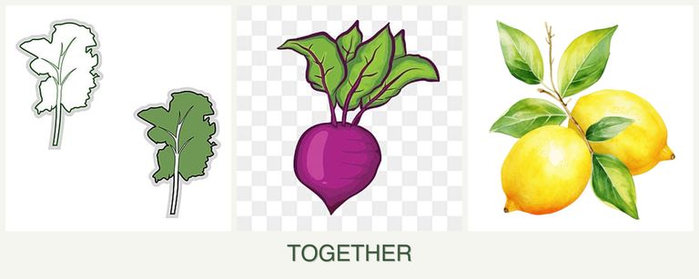 Can you plant kale, beets and lemons together?