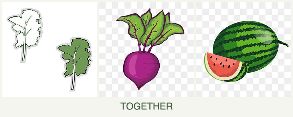Can you plant kale, beets and melons together?