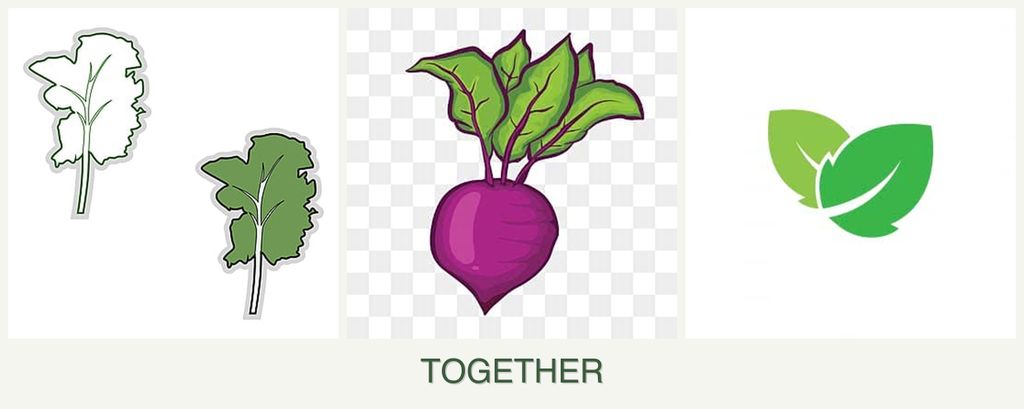 Can you plant kale, beets and mint together?