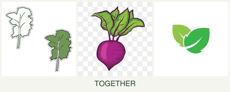Can you plant kale, beets and mint together?