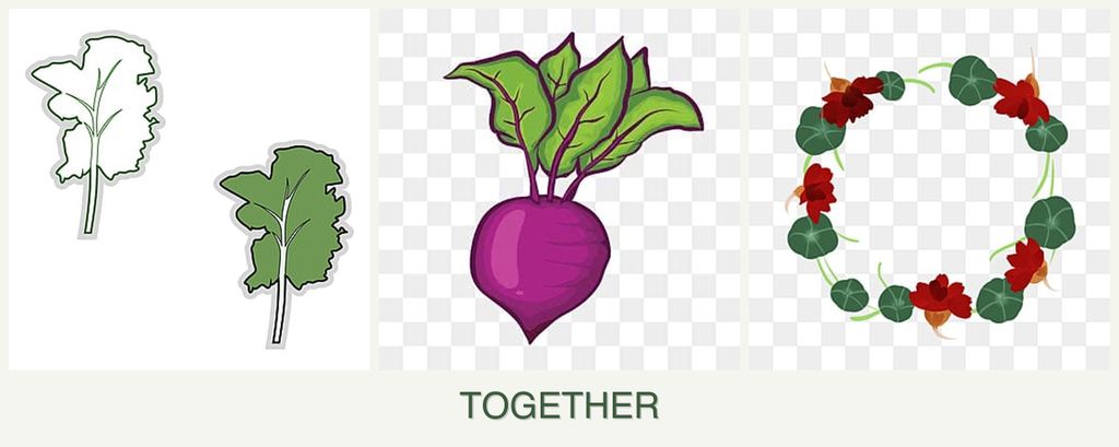 Can you plant kale, beets and nasturtiums together?