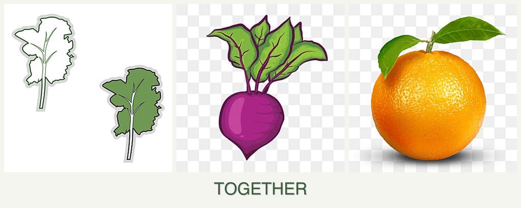 Can you plant kale, beets and oranges together?