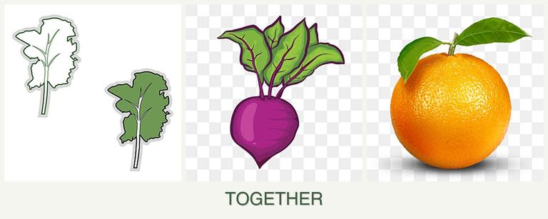 Can you plant kale, beets and oranges together?