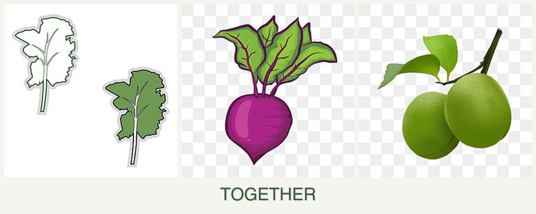 Can you plant kale, beets and plums together?