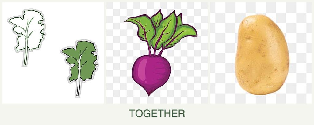 Can you plant kale, beets and potatoes together?
