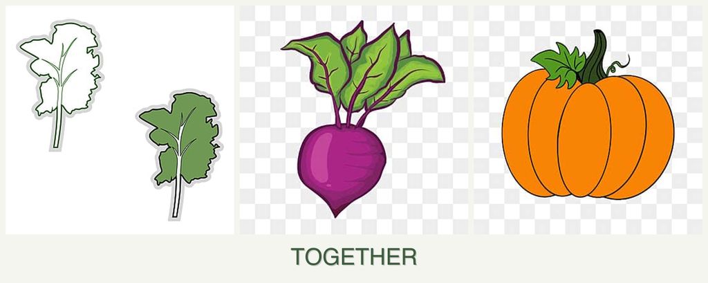 Can you plant kale, beets and pumpkin together?