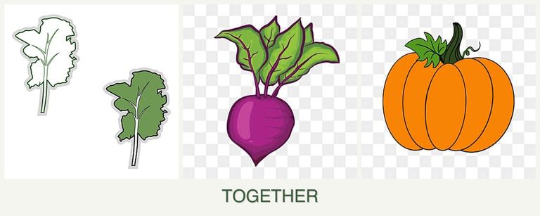Can you plant kale, beets and pumpkin together?