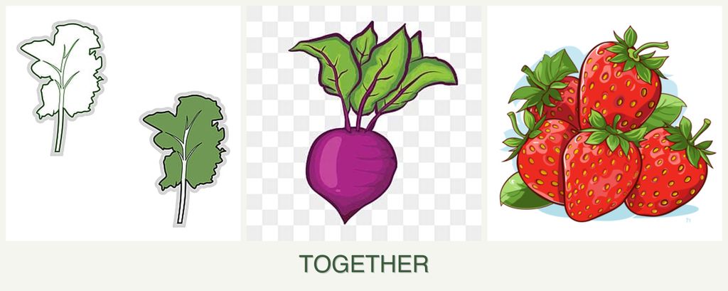 Can you plant kale, beets and strawberries together?
