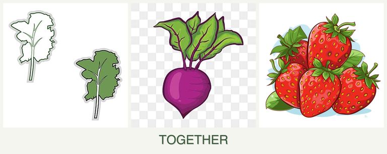 Can you plant kale, beets and strawberries together?
