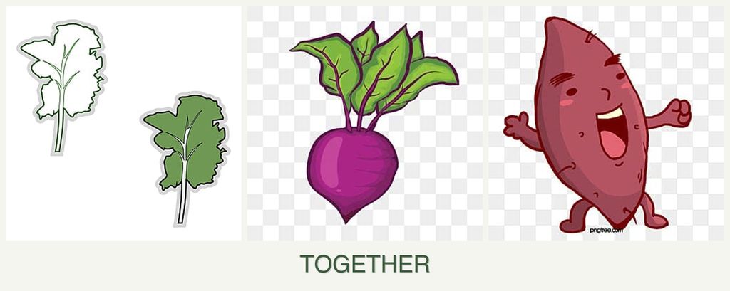 Can you plant kale, beets and sweet potatoes together?