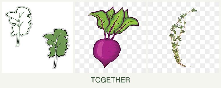 Can you plant kale, beets and thyme together?
