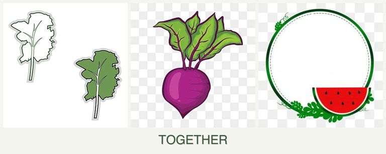 Can you plant kale, beets and watermelons together?