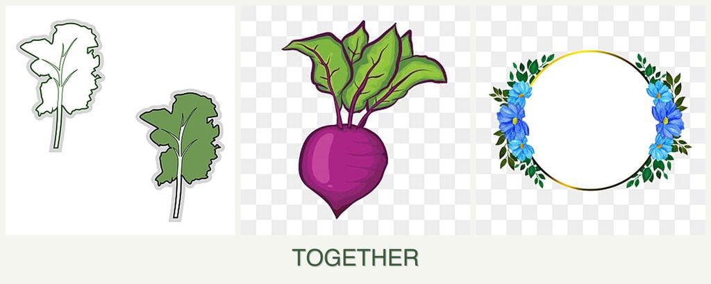 Can you plant kale, beets and zinnias together?