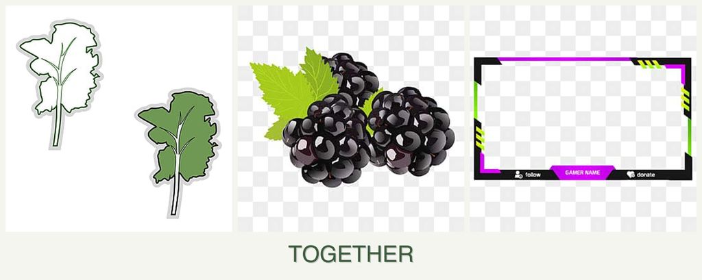 Can you plant kale, blackberries and limes together?